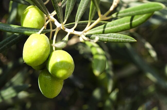 Beneficios de comer aceitunas en una dieta cetogénica